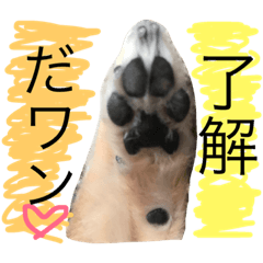 [LINEスタンプ] 森の妖精くーちゃんの毎日使えるスタンプ