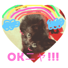 [LINEスタンプ] おてんば猫娘空