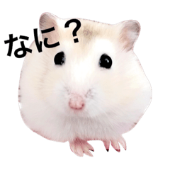 [LINEスタンプ] ハムスター ちくわちゃん