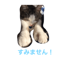 [LINEスタンプ] マコとテンの日常