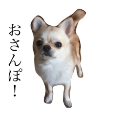 [LINEスタンプ] いとしのきみ