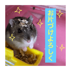 [LINEスタンプ] ふくふくふくたろう3.1