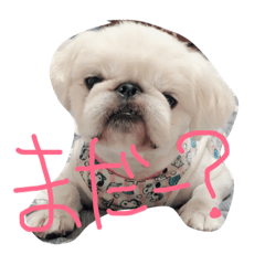 [LINEスタンプ] ぺき子ふれんず