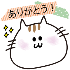 [LINEスタンプ] ぴこねこちゃん