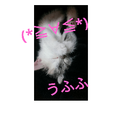 [LINEスタンプ] み。ゆ。み。ゆ。