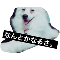 [LINEスタンプ] さだはる