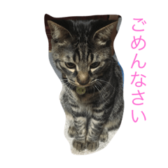 [LINEスタンプ] まるtoたま