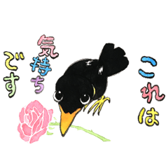 [LINEスタンプ] 九官鳥の九ちゃん