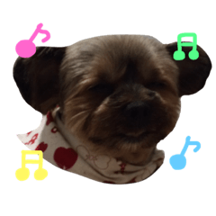 [LINEスタンプ] 犬犬犬犬犬犬犬