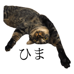 [LINEスタンプ] ぎばっち