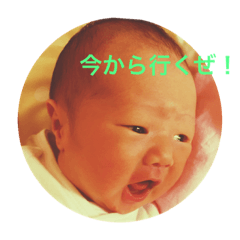 [LINEスタンプ] みーたんlife