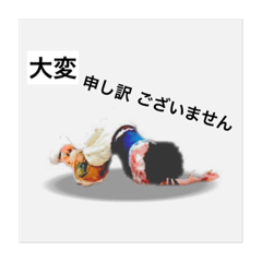 [LINEスタンプ] いつも全力 でーくん