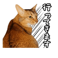 [LINEスタンプ] 猫で行こう4