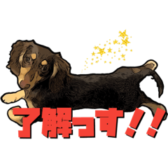 [LINEスタンプ] チョコタンミニチュアダックス puppy+