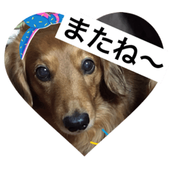 [LINEスタンプ] さらんまま