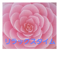 [LINEスタンプ] 日常スタイル