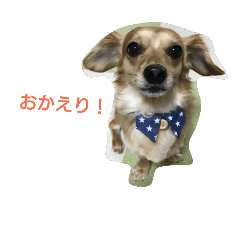 [LINEスタンプ] 我が家のらふたん