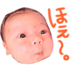 [LINEスタンプ] ハルヒのすけ。