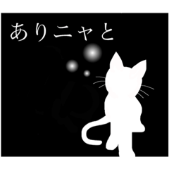 [LINEスタンプ] 白い猫の夜