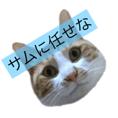 [LINEスタンプ] サムスタ