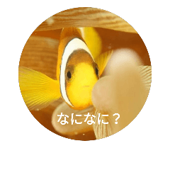 [LINEスタンプ] 魚のお喋り