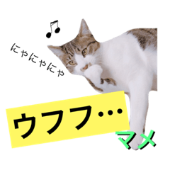 [LINEスタンプ] まめジジ 1