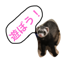 [LINEスタンプ] タルト