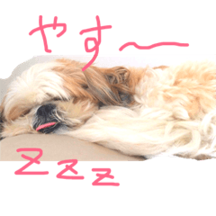 [LINEスタンプ] ぽちがく