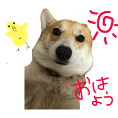 [LINEスタンプ] ミズペッツ