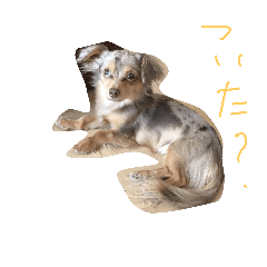 [LINEスタンプ] ロノアくん