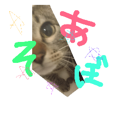 [LINEスタンプ] きじとらるう