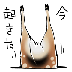 [LINEスタンプ] 穴に埋まった動物スタンプ