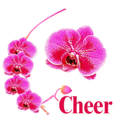 [LINEスタンプ] ランー cheer for You