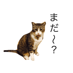 [LINEスタンプ] ディエゴ