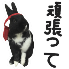 [LINEスタンプ] 黒いウサギは oreです2。日本版。