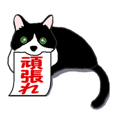 [LINEスタンプ] 猫はあまりしゃべらない Ver 3(動いて応援)