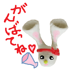 [LINEスタンプ] Pichi Rabbit2