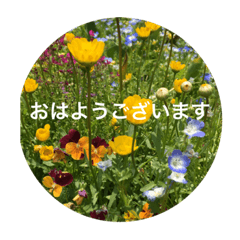 [LINEスタンプ] お花でごあいさつの画像（メイン）