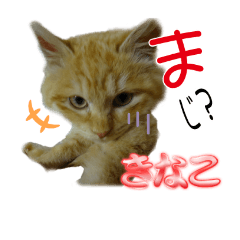 [LINEスタンプ] きなニャンコ2