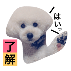 [LINEスタンプ] まんまるまる◯