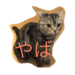 [LINEスタンプ] アメリちゃん