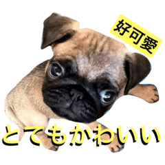 [LINEスタンプ] バルコのコメディアン