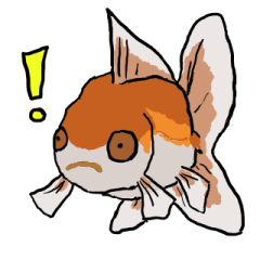 [LINEスタンプ] 金魚の金ちゃん