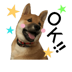 [LINEスタンプ] 柴犬のかげまる