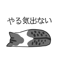 [LINEスタンプ] ねこのスタンプbyひかげ