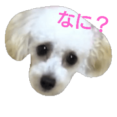 [LINEスタンプ] ずっちゃんスタンプ2