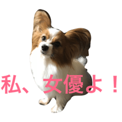 [LINEスタンプ] りんさんベスト