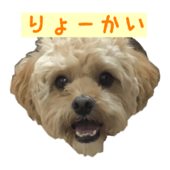 [LINEスタンプ] こすけだよ