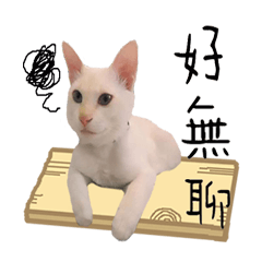 [LINEスタンプ] 私の名前は少しです