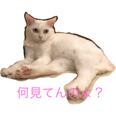 [LINEスタンプ] うにまろ